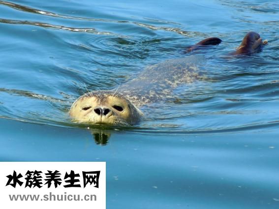 怎么減腋下的肉