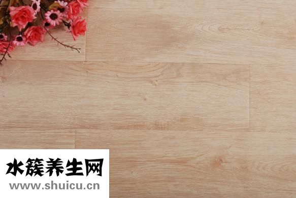 家具樹怎么種植