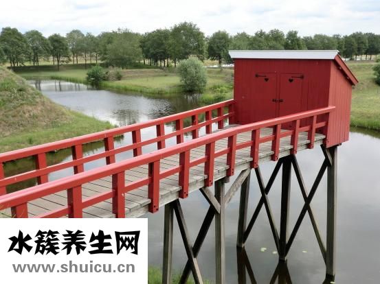 孕婦不上廁所怎么辦