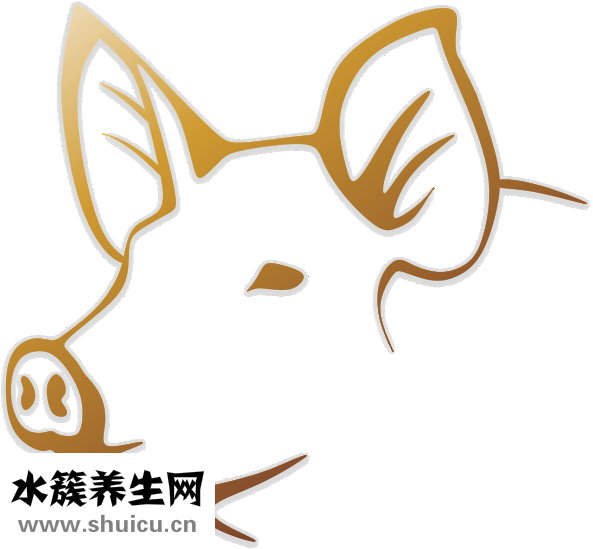 蘿卜豬肉餡怎么調(diào)