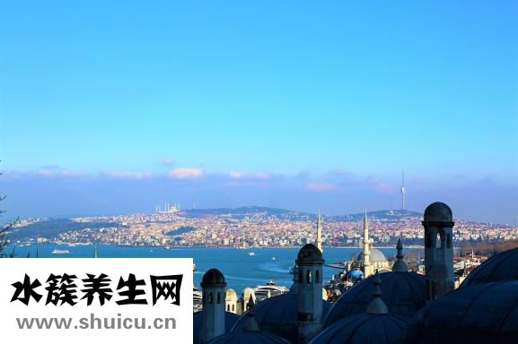 手腕疼痛怎么治療