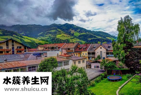 土元蟲卵怎么保存