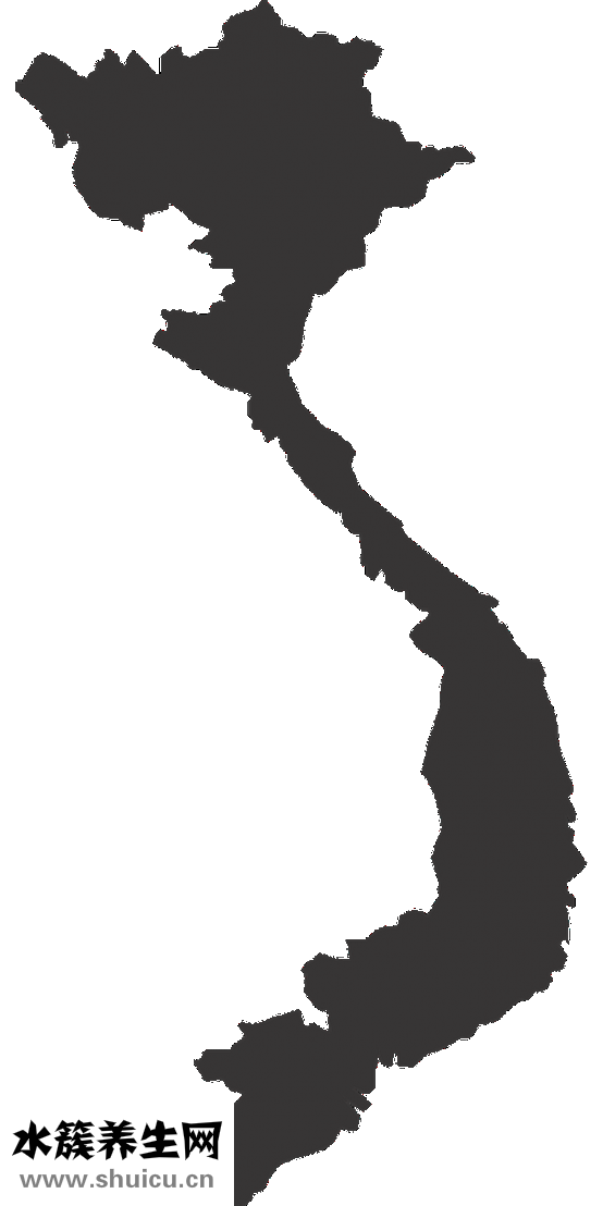 臉骨架大怎么變小