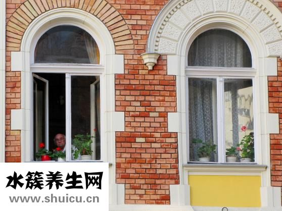 干筆架魚肚怎么炒