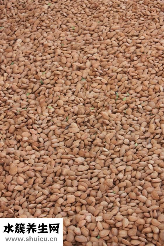 煮過的杏仁怎么吃