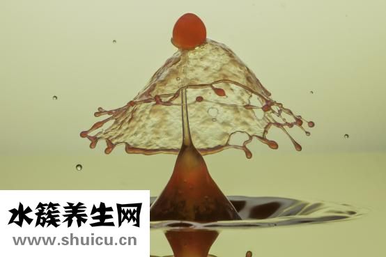 老人濕氣重怎么辦