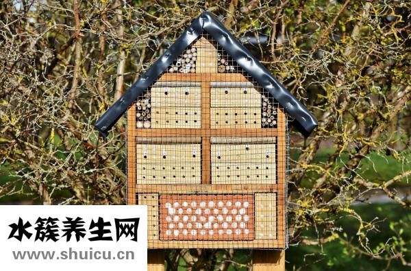 耳壓不平衡怎么辦