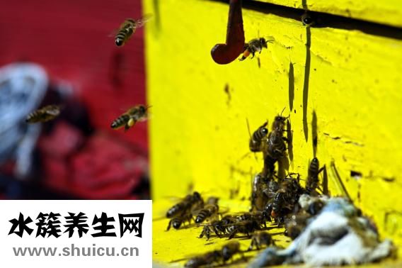 怎么給陰道放藥