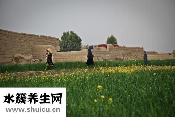 氧氣管怎么補氧