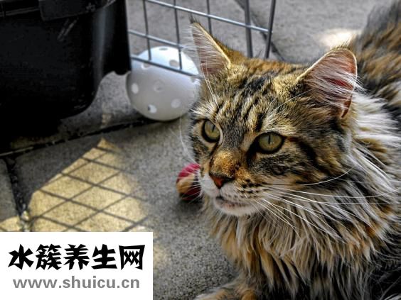 怎么修胡子好看