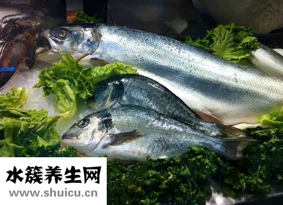 墨魚炒蛋怎么做