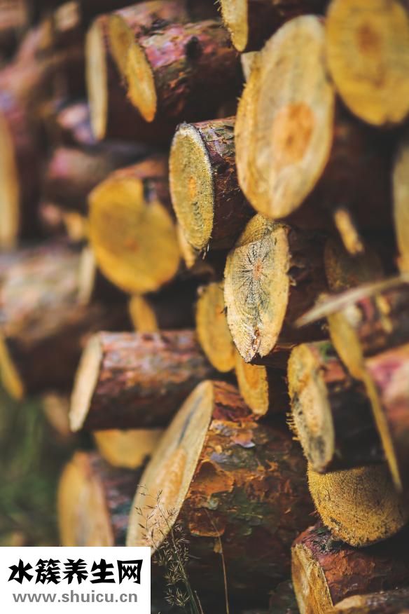 小腳指甲怎么長(zhǎng)沒(méi)了