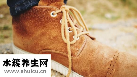 無蹼壁虎怎么養