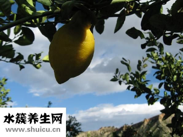 橘子皮怎么做香包