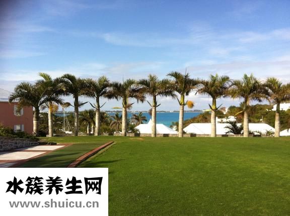 大腿肥肉怎么減