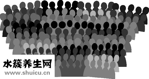 獅子怎么分辨雌雄