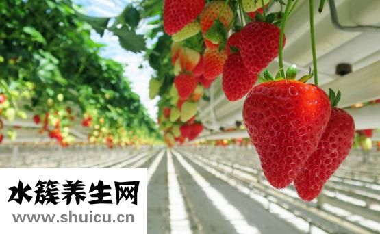 孩子飲食習慣怎么填