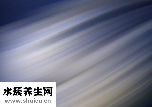 怎么做秀導(dǎo)