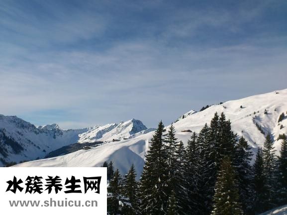 怎么做秀導(dǎo)