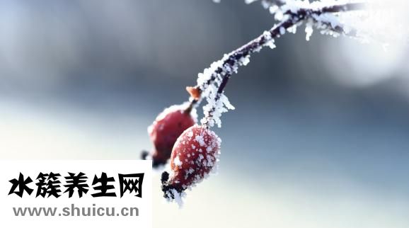 骨節(jié)響怎么回事