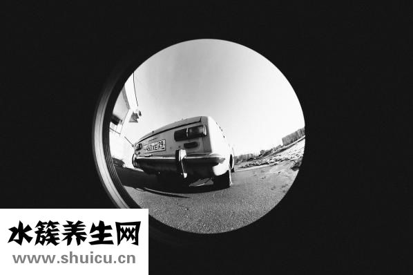 魚肉眼怎么根治