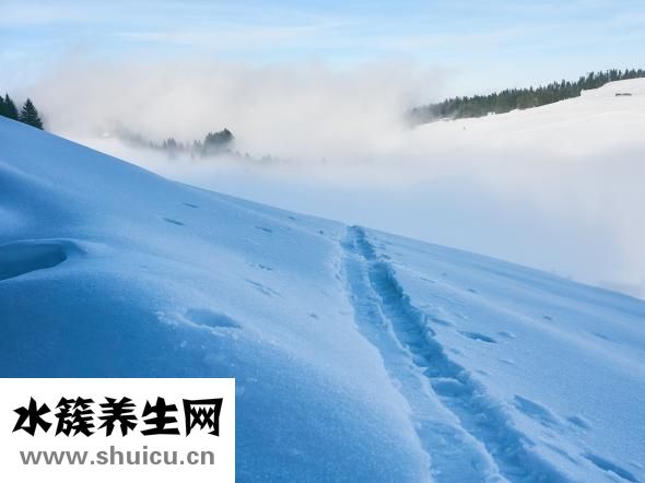 內衣罩杯半杯怎么看