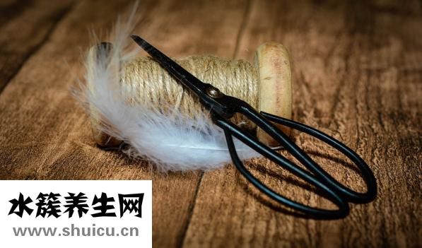 長拉鏈怎么剪短