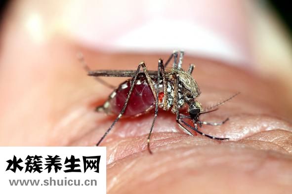 鼻動脈出血怎么治療