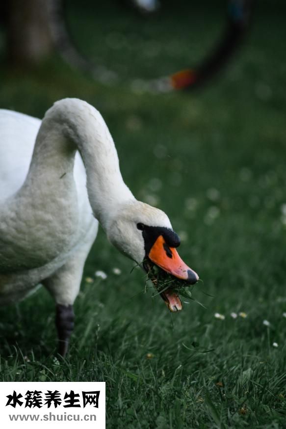 不喜歡老公怎么辦