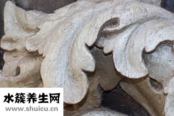 鼻子肉多不高怎么辦