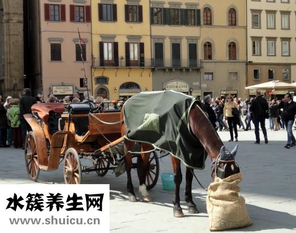 冬季困水缸怎么加熱