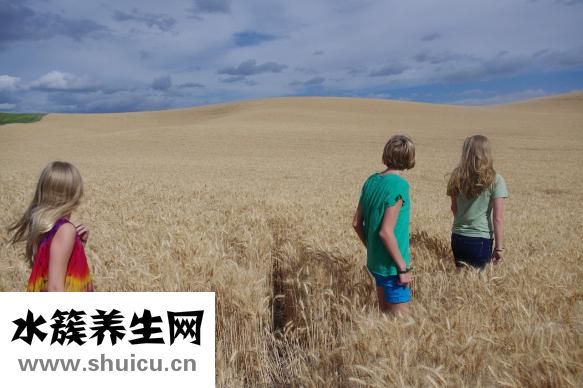 青少年缺鐵怎么補(bǔ)