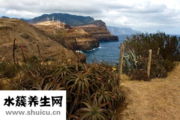 受傷紅腫怎么消腫