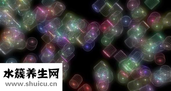 魚怎么做不掉魚皮