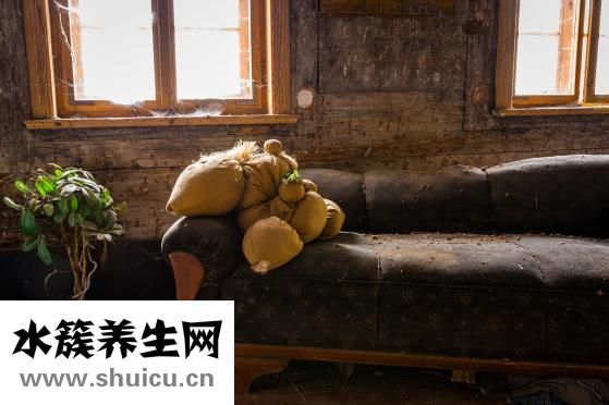 產(chǎn)后想喝雞湯怎么做