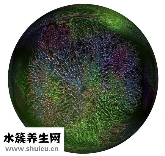 魚怎么做不掉魚皮