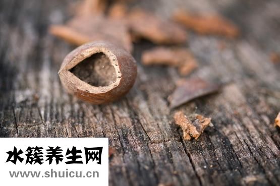 不會包餃子怎么辦