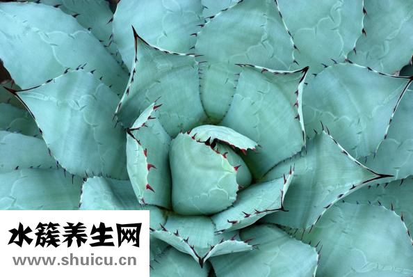 受傷紅腫怎么消腫