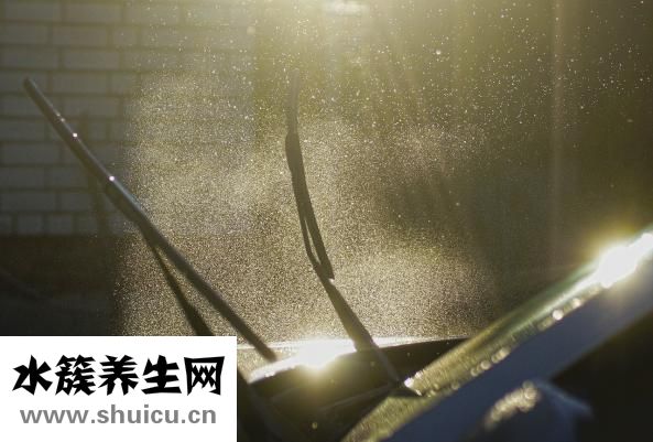 麻油掉在車里怎么洗