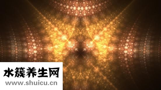 蘭花長白點怎么辦