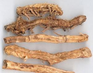 知母的功效與作用，生地黃的功效與作用