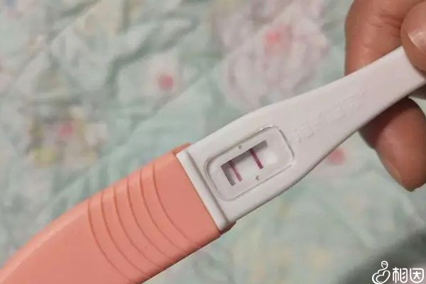 自檢懷孕小方法,內褲上有什么說明已懷孕