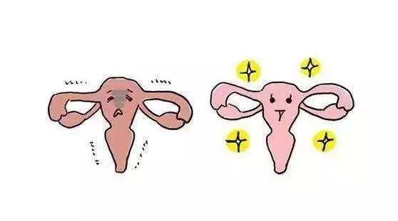 卵巢早衰最佳恢復方法,女人卵巢早衰最佳恢復方法