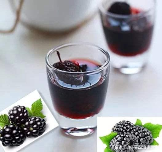 桑葚泡酒的功效與作用，女人喝桑葚泡酒的功效與作用