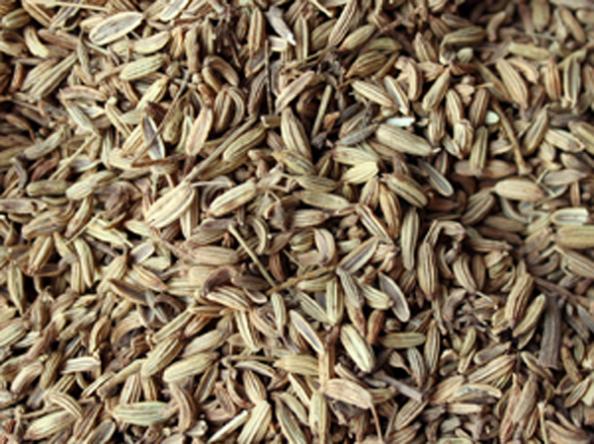 小茴香的功效與作用,小茴香的功效與作用及食用方法
