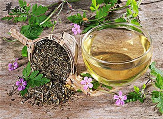 清熱解毒去火最快的藥,清熱解毒去火最快的藥中藥