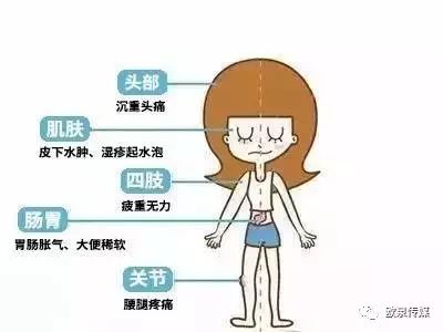 濕氣沒了身體會有哪些變化（濕氣沒了是不是就瘦了）