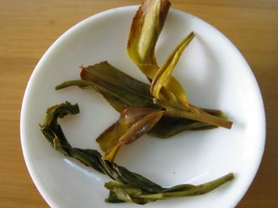 四種人不宜喝桑葉茶你好醫(yī)生糖尿病人喝什么茶有好處(四種人不宜喝桑葉茶)