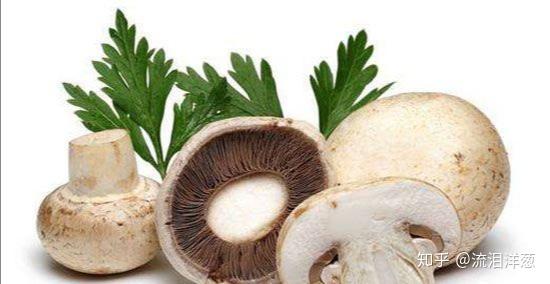 神經衰弱多夢吃什么藥調理(神經衰弱吃什么藥調理)