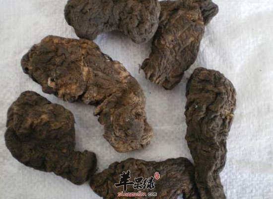 熟地黃的功效與作用吃法大全(熟地黃的功效與作用是什么)